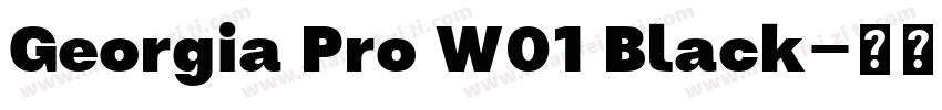 Georgia Pro W01 Black字体转换